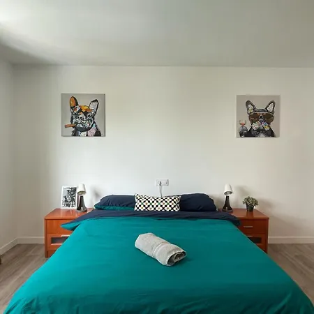 Coliving El Juan 大加那利岛拉斯帕尔马斯